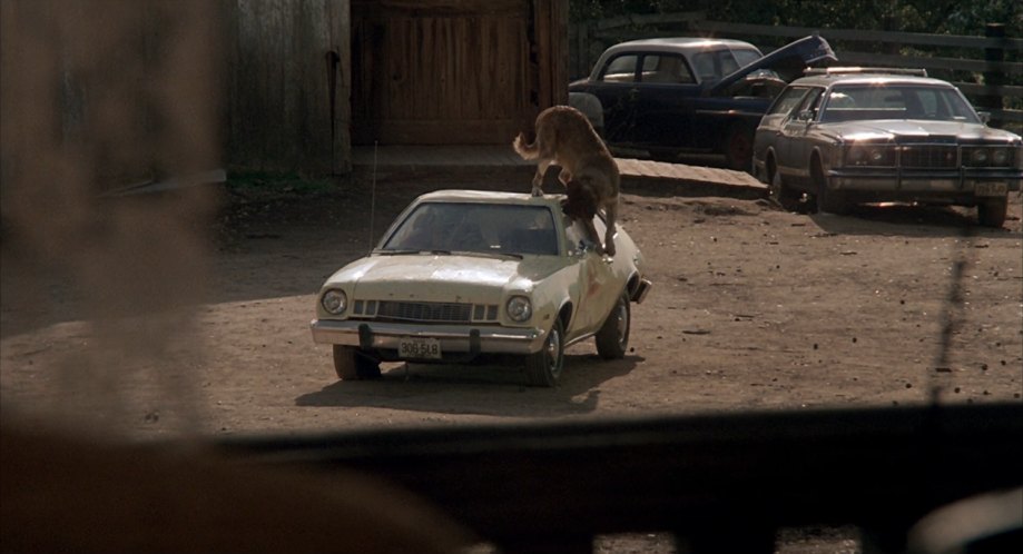 In which car do the main characters of Cujo seek shelter from their pet dog?