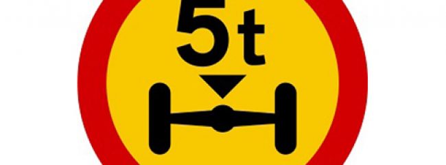 Green Flag euro sign