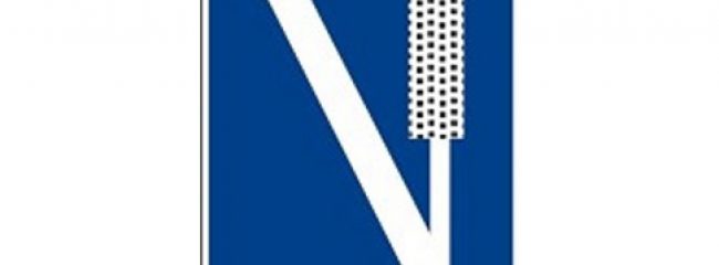 Green Flag euro sign