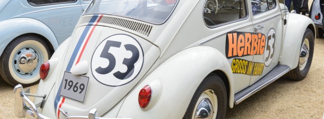 Car lover