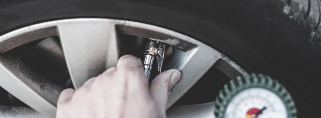 Car lover