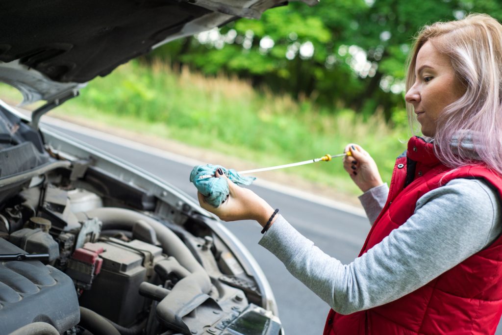 cheap car checks