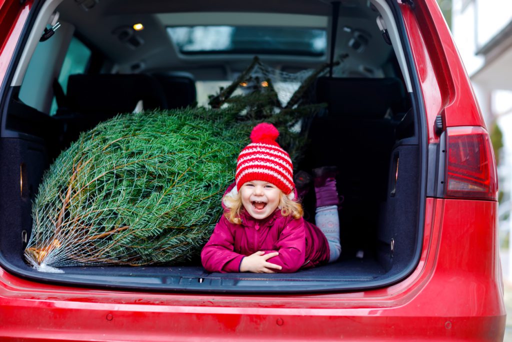 carrying a christmas tree