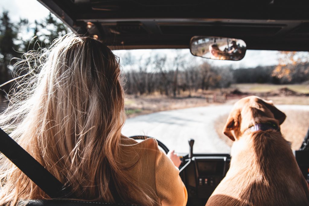 woman driving car with dog in passenger seat, pov from behind them looking forwards to the road