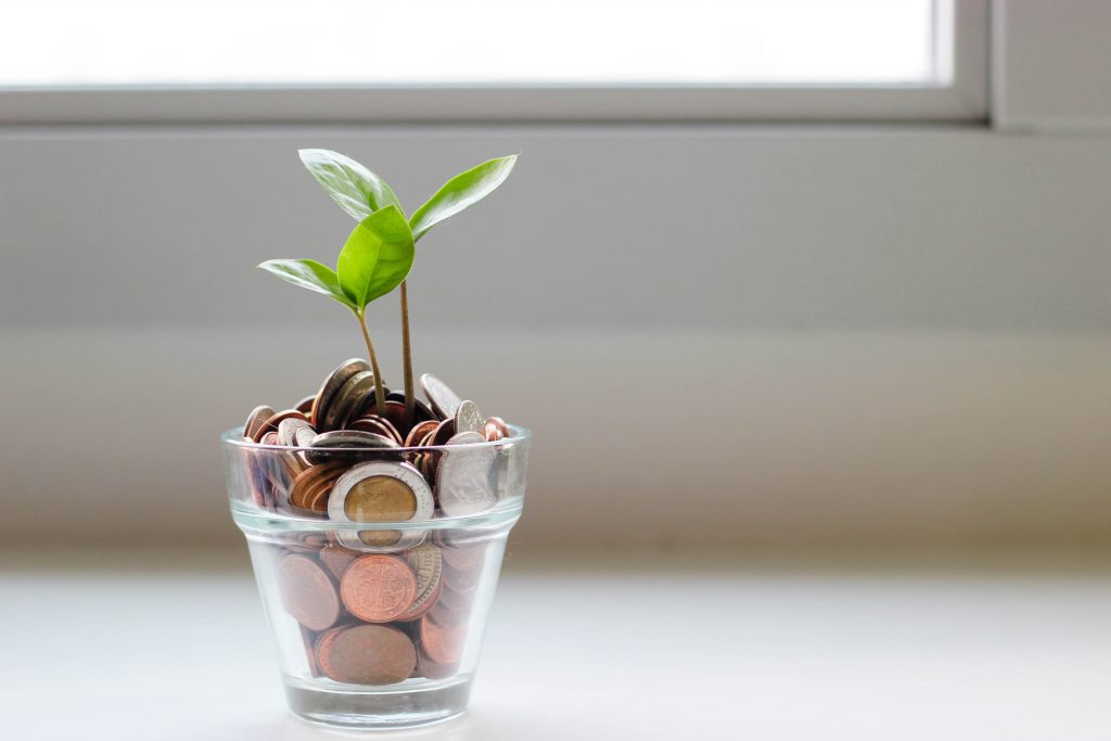 small glass pot with money in it and two plant sprouts appearing to grow from money