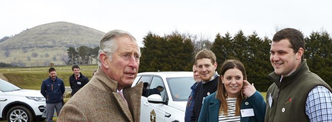 royal cars