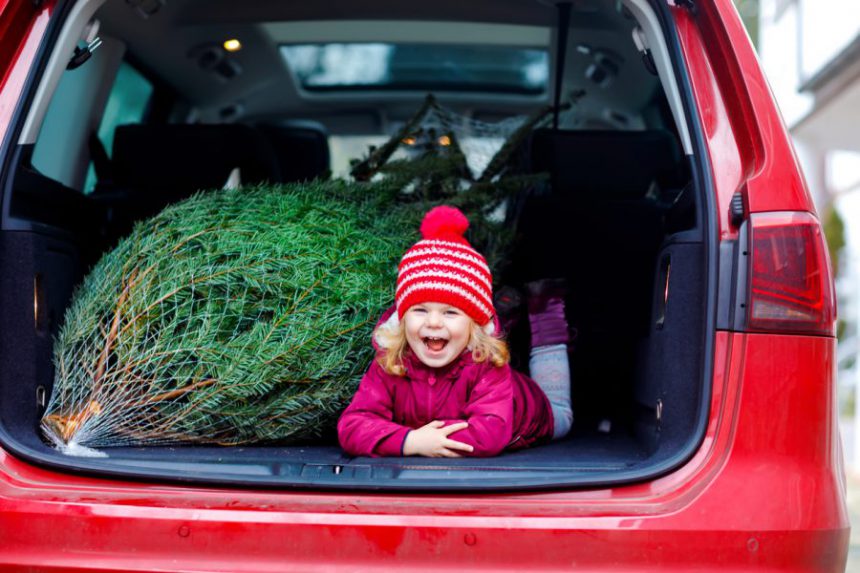 carrying a christmas tree